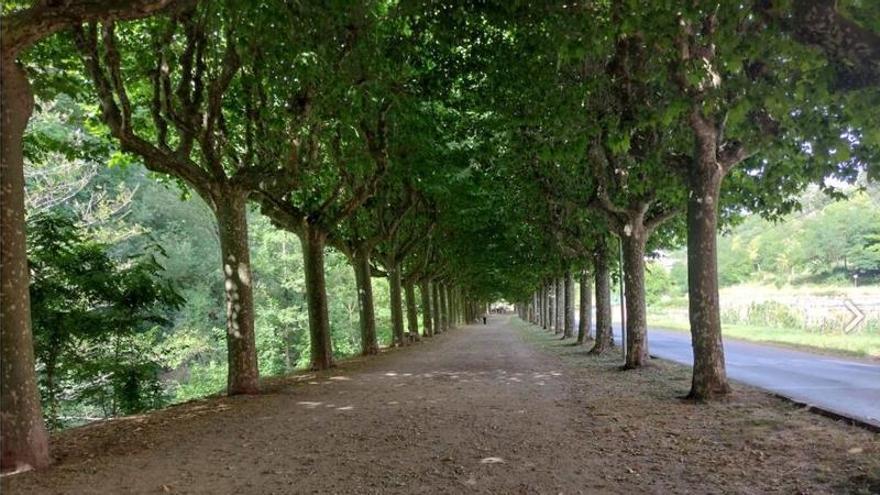 Preocupació al barri de Sant Roc d’Olot per la presència d’un home que increpa als veïns