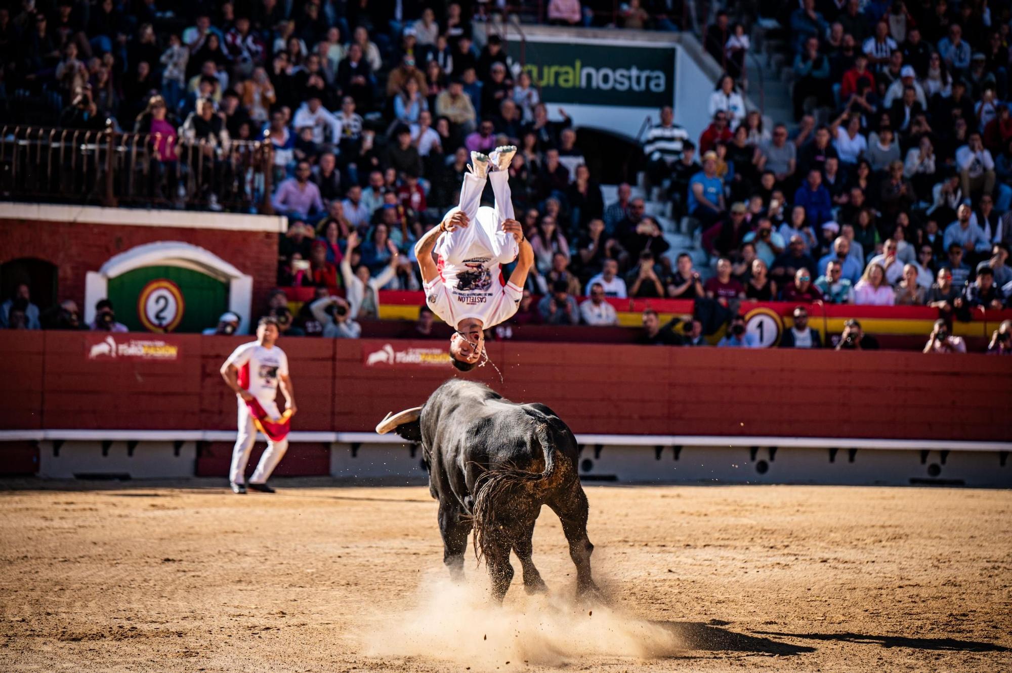 Así ha sido la gran final del campeonato de recortadores