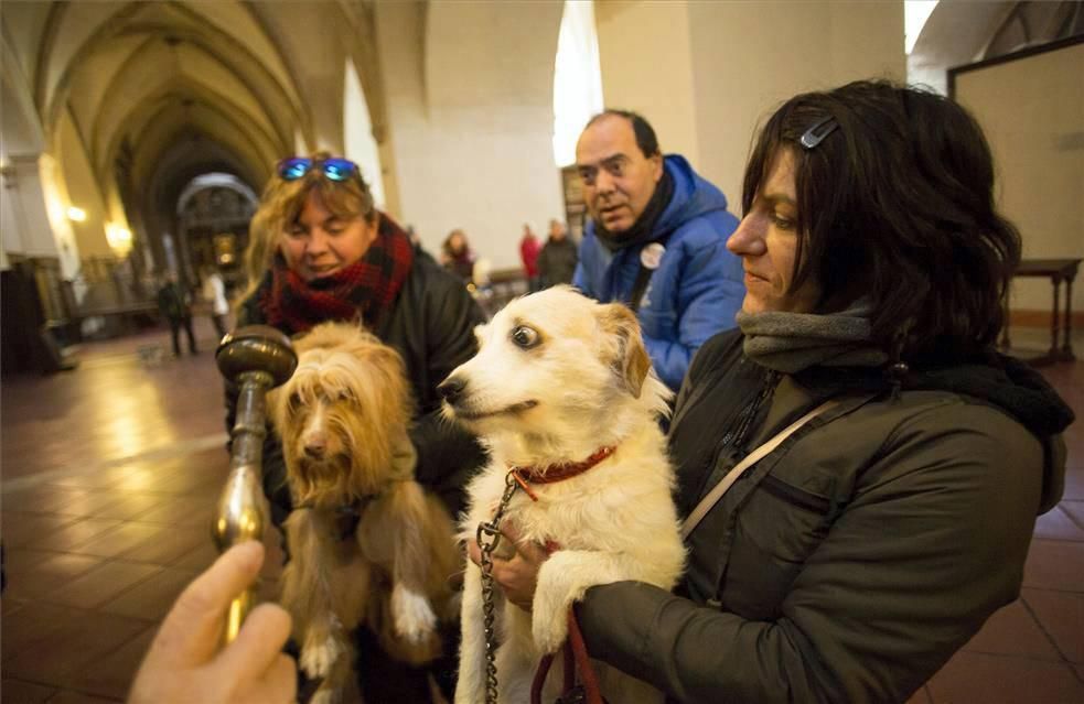 Festividad de San Antón en la Iglesia de San Pablo