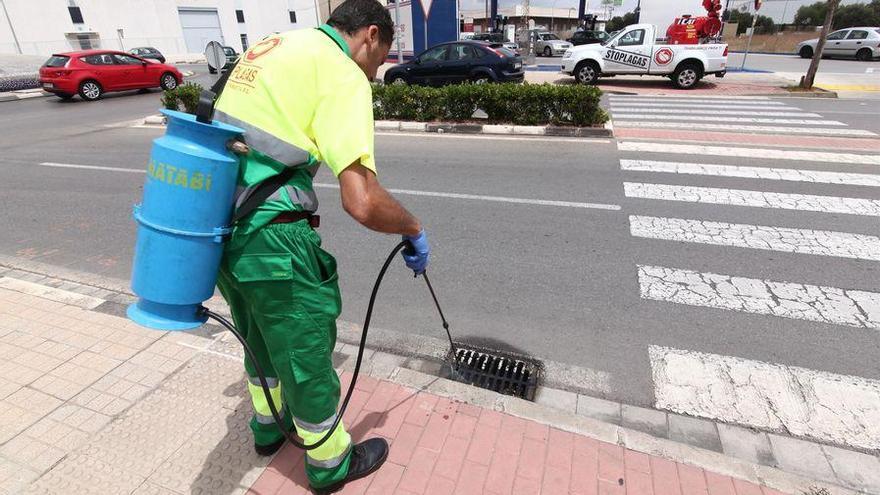 El cambio climático da alas a unas plagas que ya colonizan Castellón