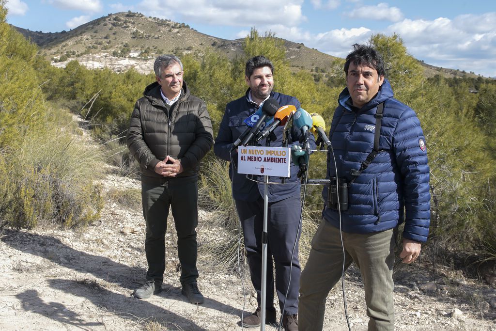 Las imágenes de la llegada de tres ejemplares de lince ibérico a las montañas de Lorca