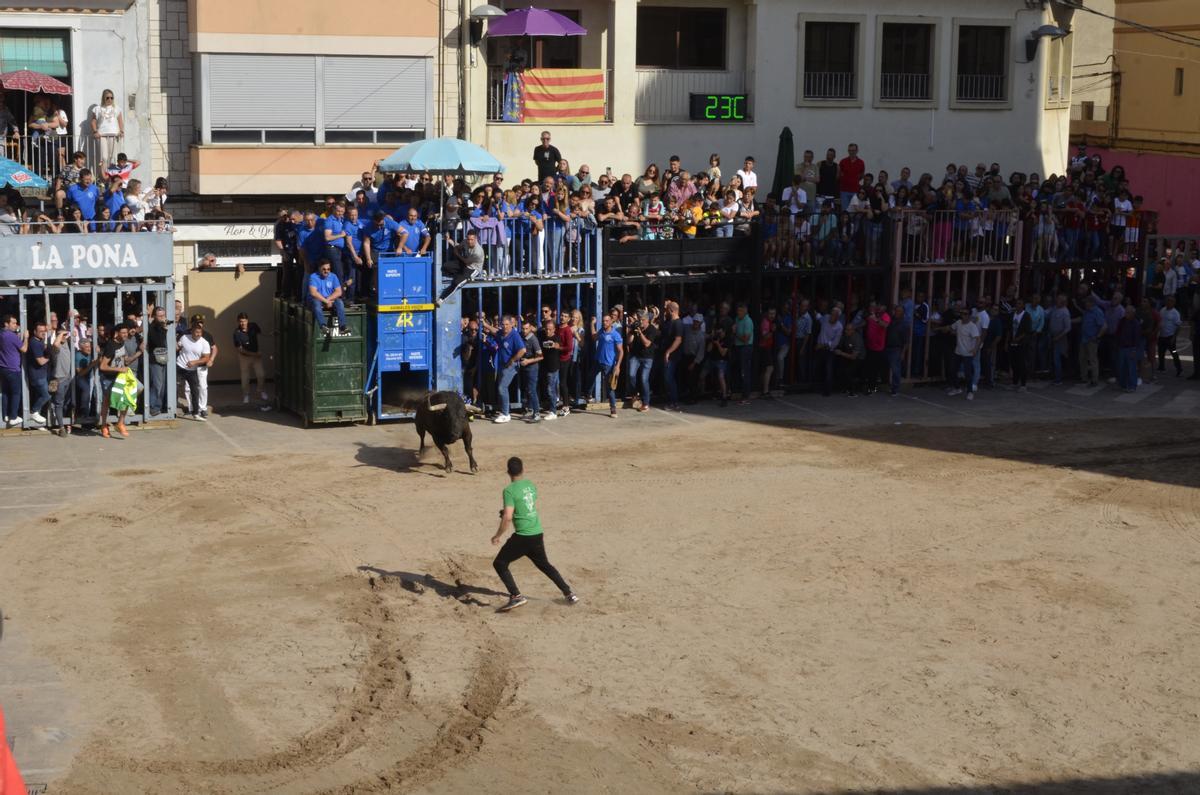 Los dos toros exhibidos durante la tarde fueron embolados por la noche.