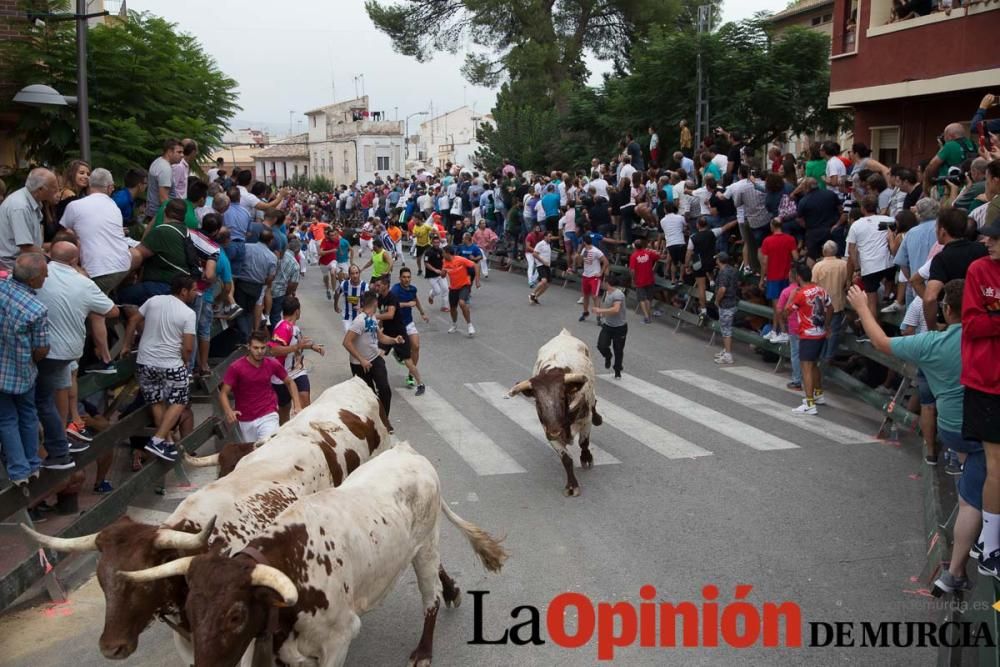 Primer encierro en Calasparra