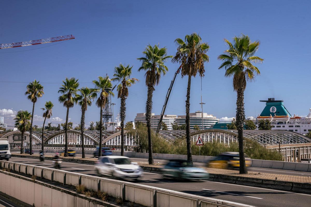 El nuevo BlueTechPort empieza a tomar forma en el puerto de Barcelona El nuevo BlueTechPort empieza a tomar forma en el puerto de Barcelona
