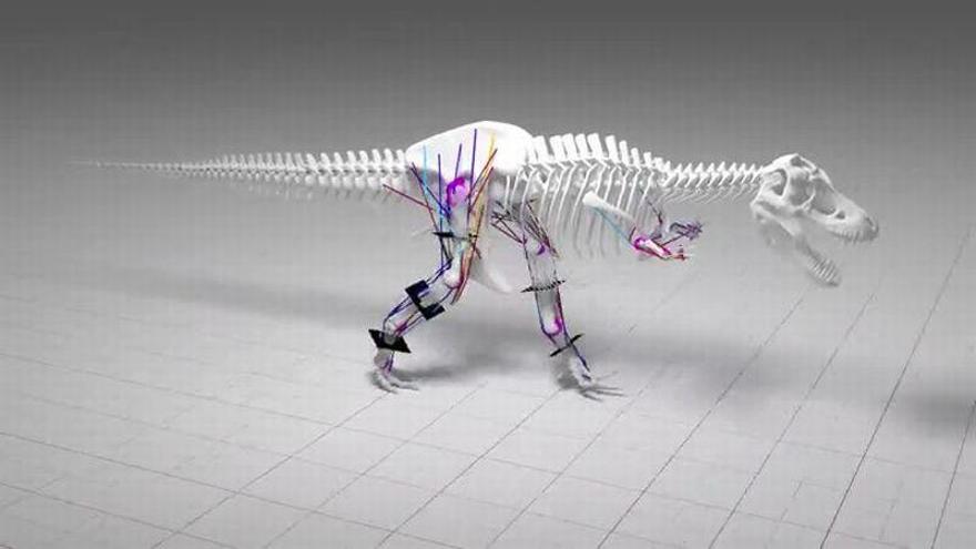 El Tyrannosaurus Rex era muy lento por su peso