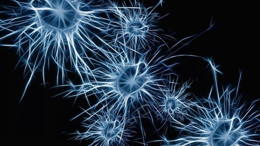 Las neuronas adaptan su metabolismo para seguir viviendo