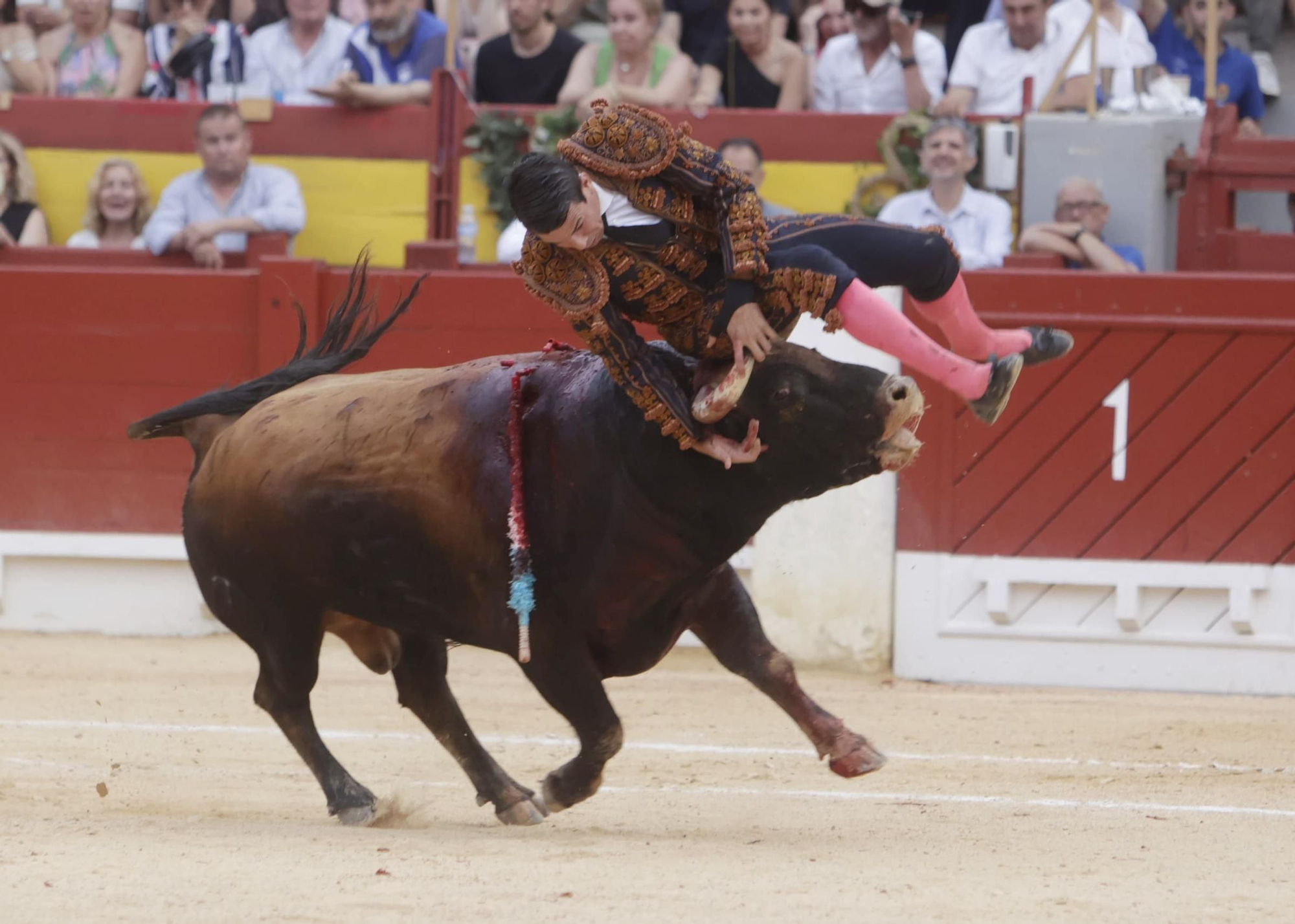 Susto en el cuarto toro de Manzanares en la Feria de Hogueras 2025