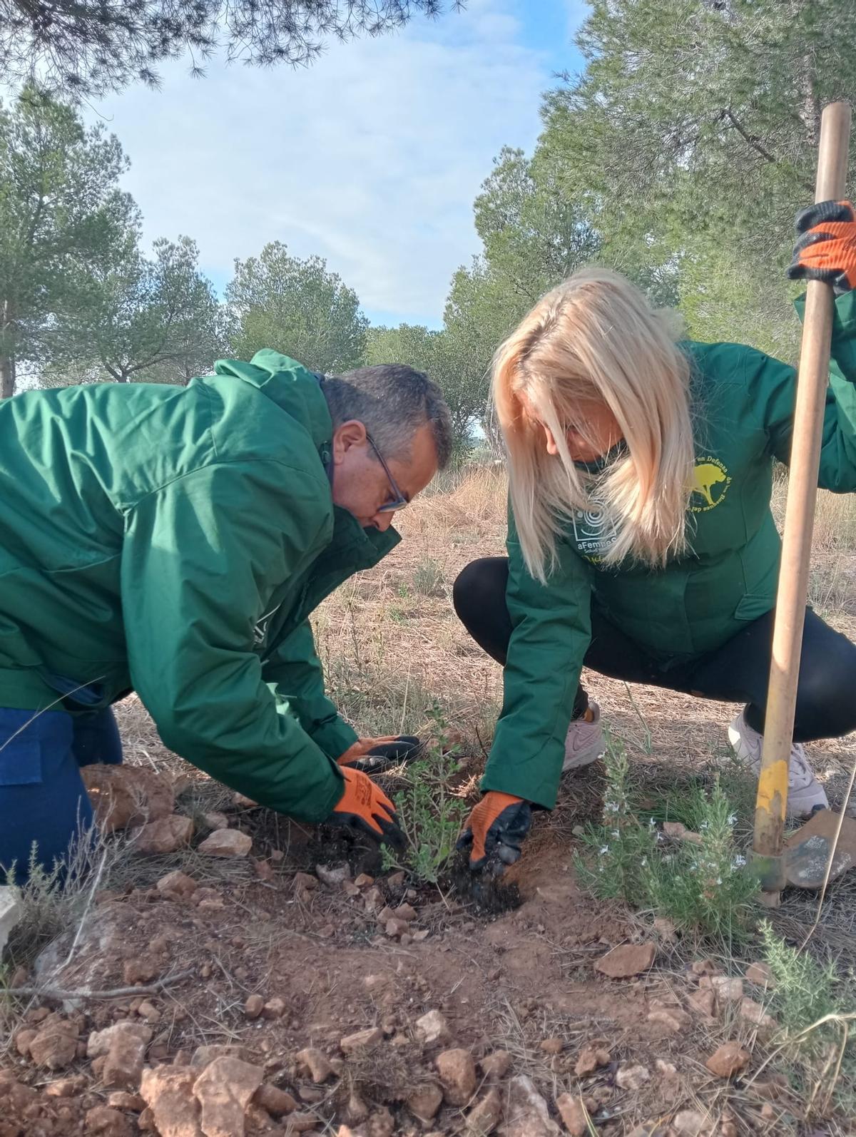Les intervencions en el medi natural tenen un impacte en la comunitat.