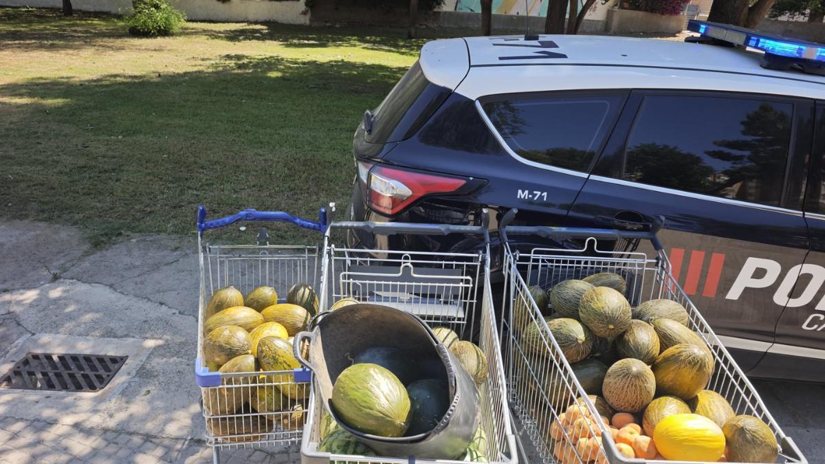 La fruta incautada en el mercadillo del Cenit en Cartagena