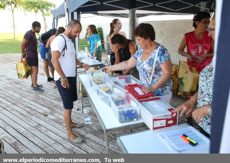 VII 10k Nocturno Benicàssim Platges