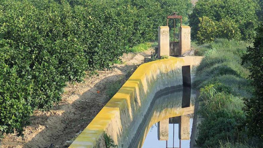 Los agricultores tienen agua embalsada para cubrir los riegos del verano