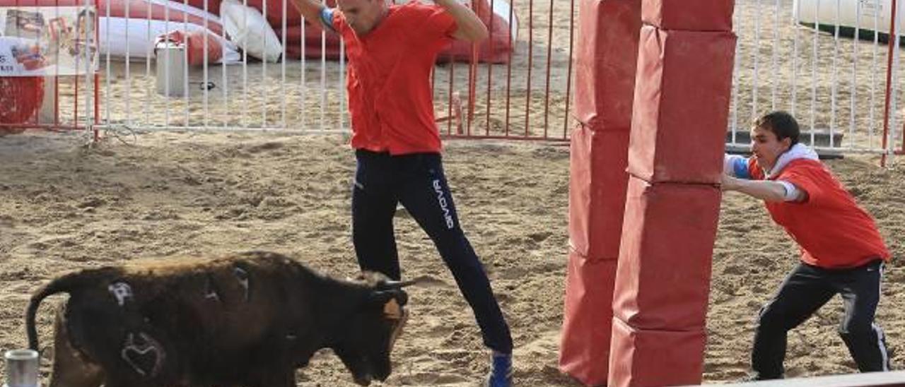 Oliva reúne a las mejores ganaderías en sus festejos taurinos de Sant Vicent