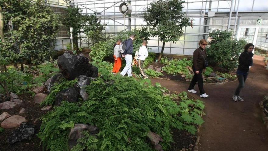 Jornada de puertas abiertas en el Botánico