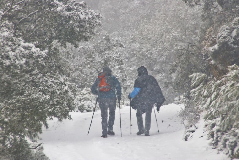 La nieve vuelve de nuevo a l'Alcoià y El Comtat