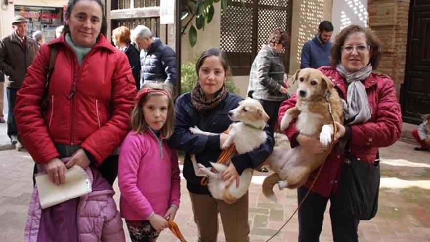 Una familia, con sus mascotas.