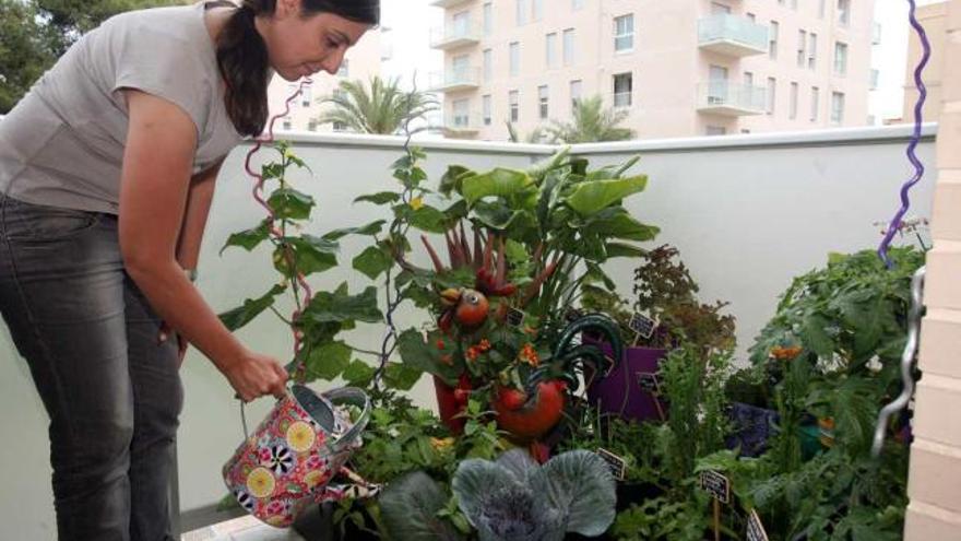 En un pequeño balcón de Altabix se cultivan todo tipo de verduras y hortalizas.