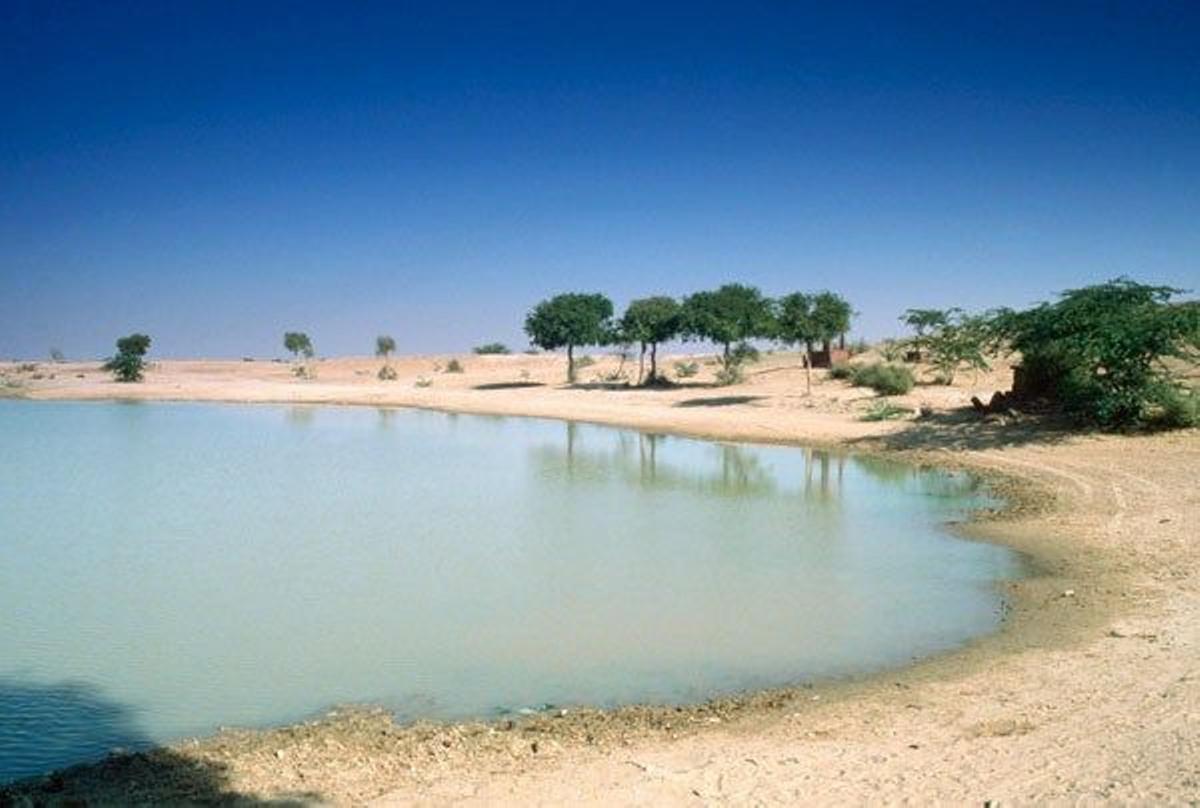 Oasis en el desierto Thar, en Rajastán, India.