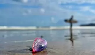 El tiempo en Canarias este jueves: probabilidad de lluvias