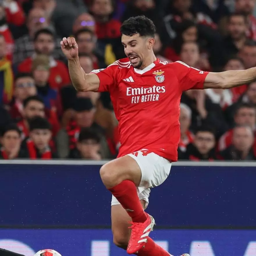 Tomás Araújo (Benfica)