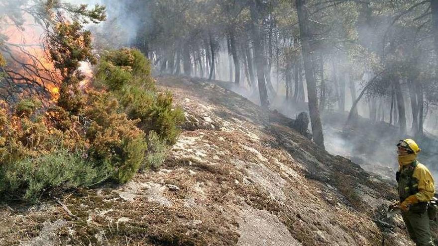 Un operario de las Brigadas de Refuerzo contra Incendios Forestales, en los trabajos de extinción de El Hornillo (Ávila).