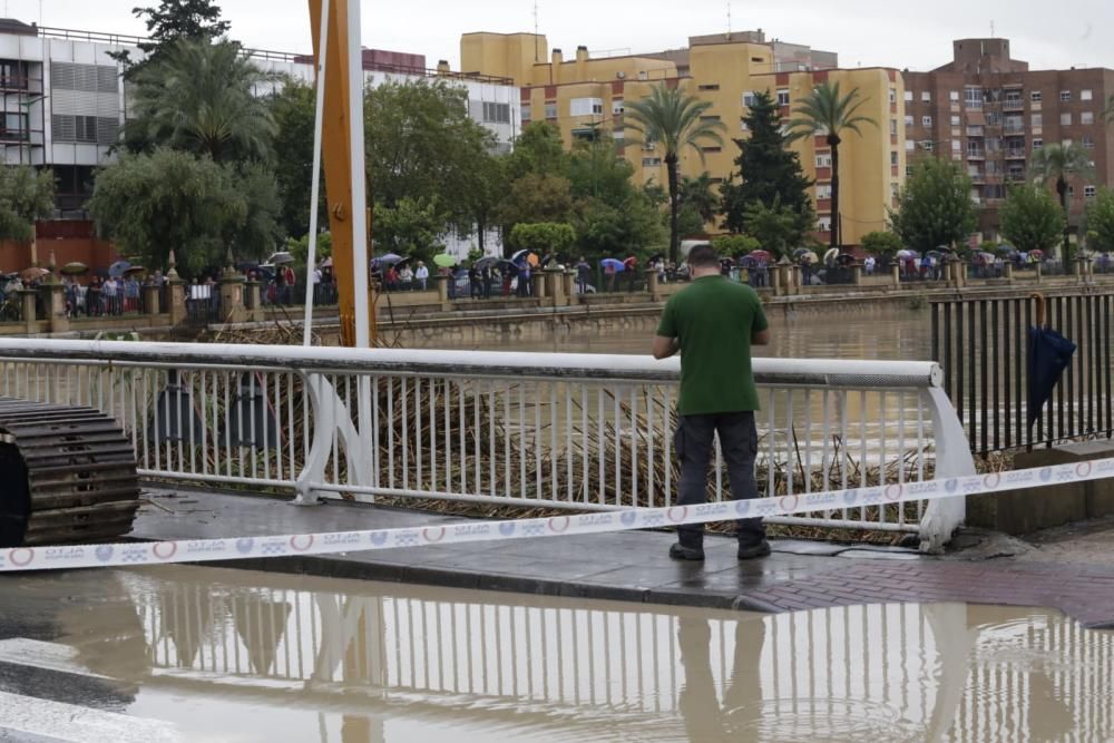 El Segura, en Murcia, a punto de desbordarse