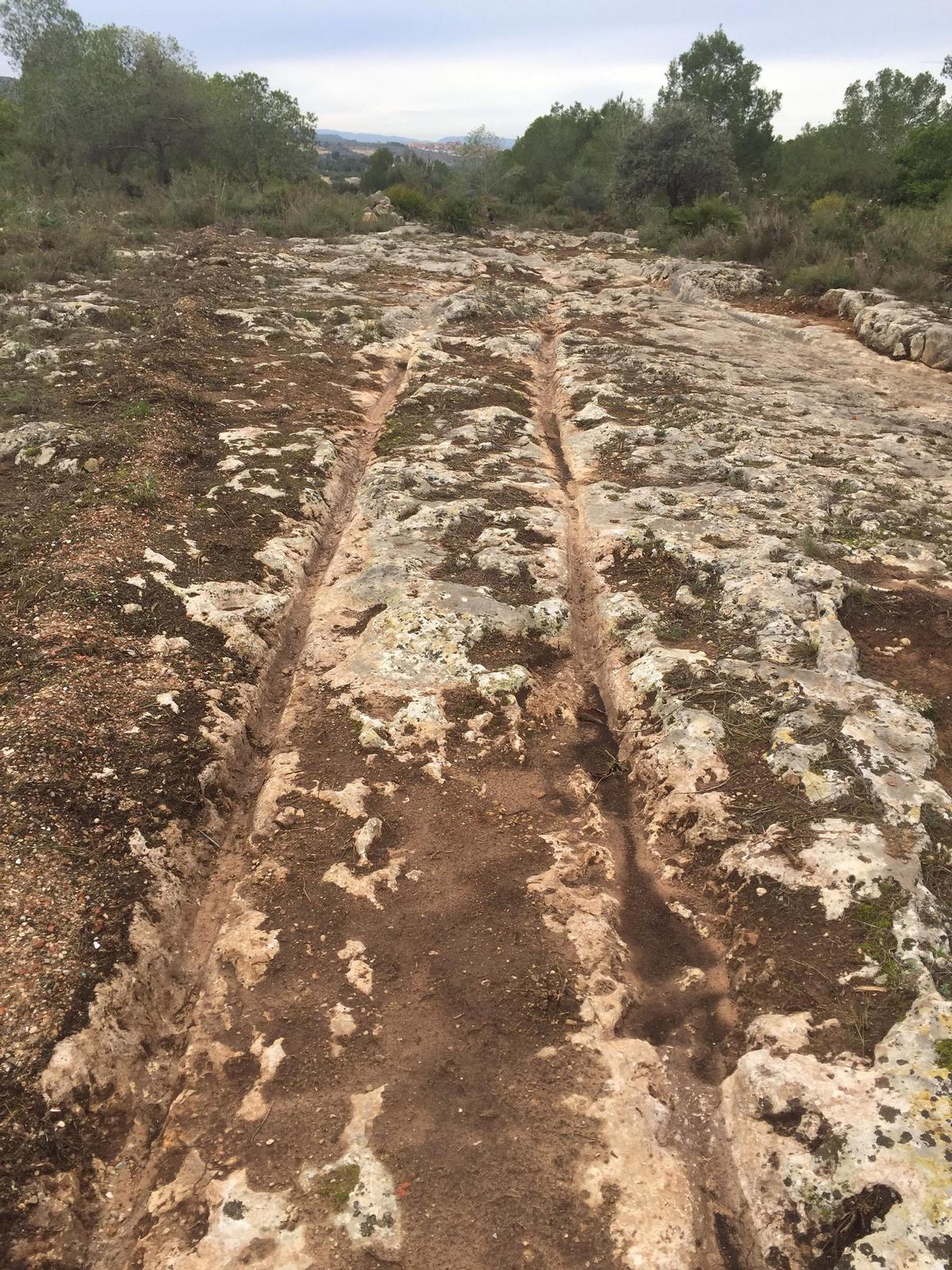 Un detall de les carrilades iberoromanes.