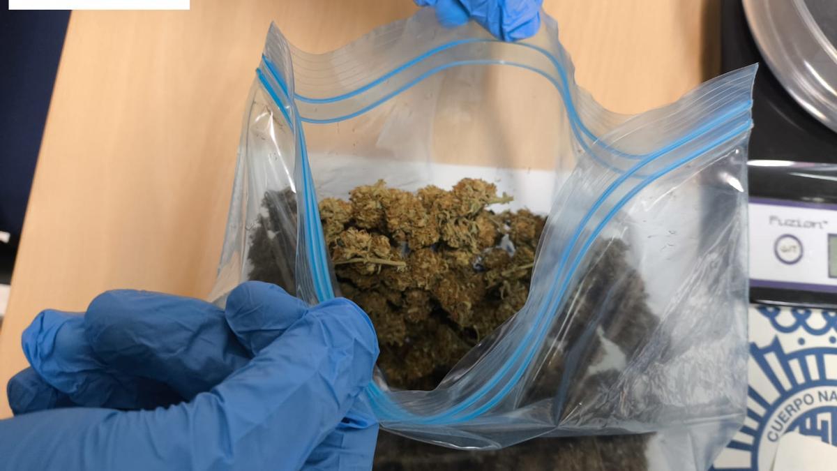Marihuana intervenida.