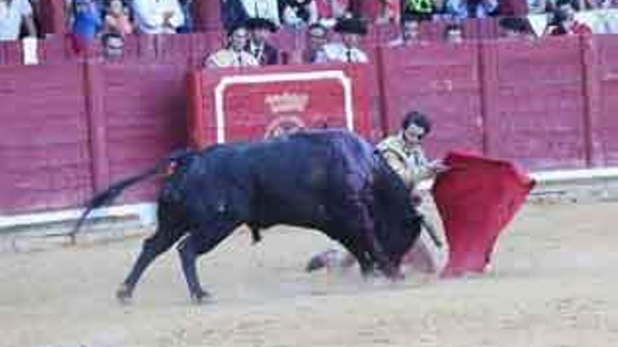 Padilla en plena faena de muleta durante una corrida celebrada en la plaza de toros de la ciudad. Foto