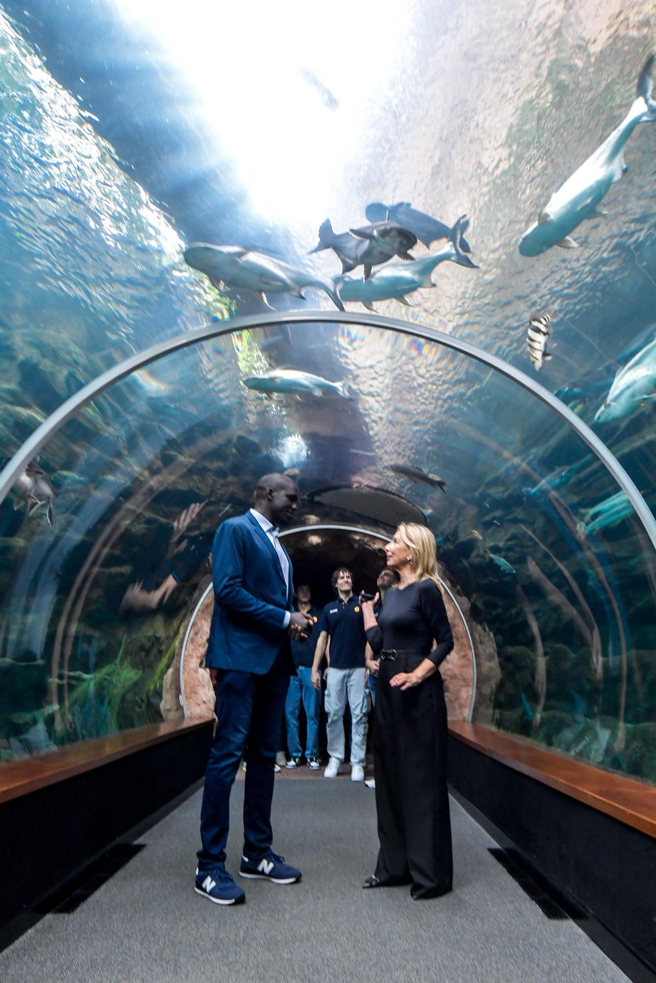 Los jugadores del CB Gran Canaria visitan el acuario Poema del Mar