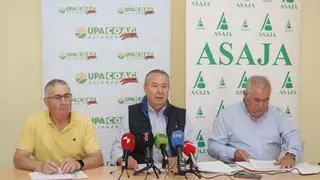 Asaja y la Alianza reclaman un control de las importaciones de cereal de Ucrania para evitar la ruina de las explotaciones de Castilla y León