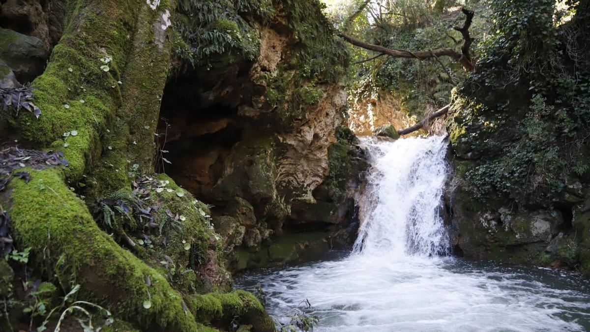 Los Baños de Popea vuelven a brillar