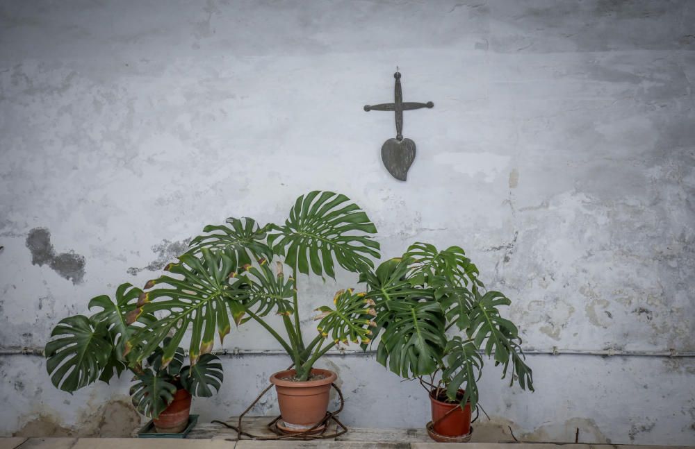 El Convent de les Caputxines de Palma muestra sus secretos