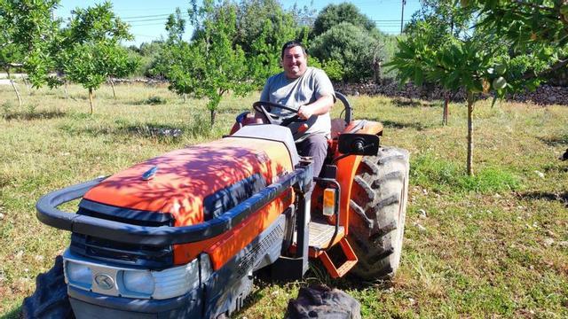 Pep Jaume montado en su tractor en la finca de Son Colom entre los almendros sembrados.