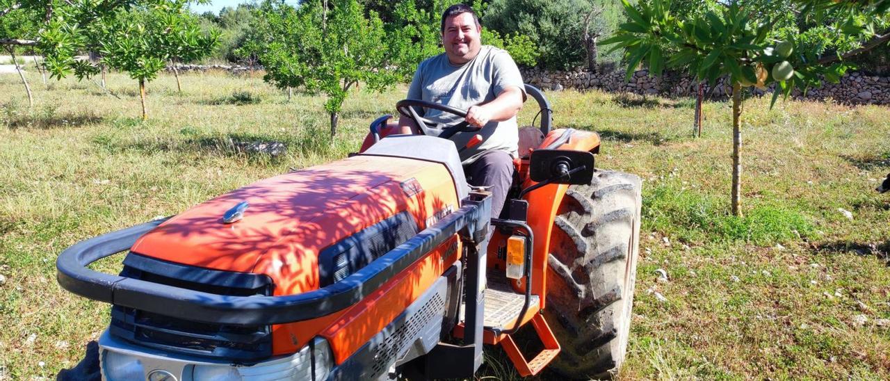 Pep Jaume montado en su tractor en la finca de Son Colom entre los almendros sembrados.