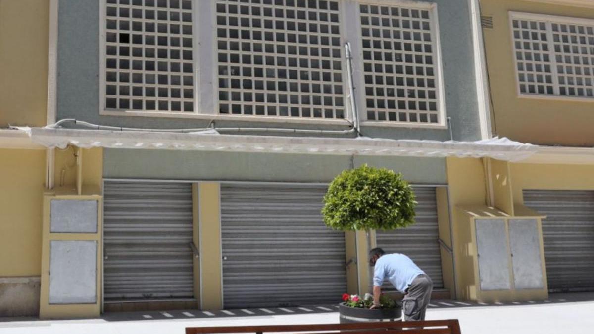 Un jardinero pone flores junto al Mercado Central.