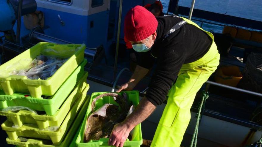 Un marinero de Bueu descarga las capturas de pescado de la jornada en el puerto.   | // GONZALO NÚÑEZ 