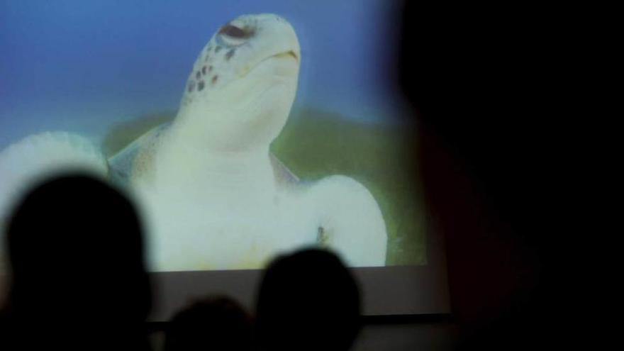 Un momento de la proyección del documental.