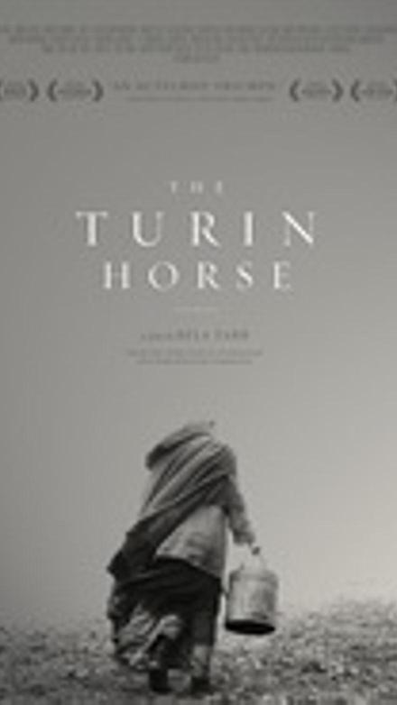 El caballo de Turín