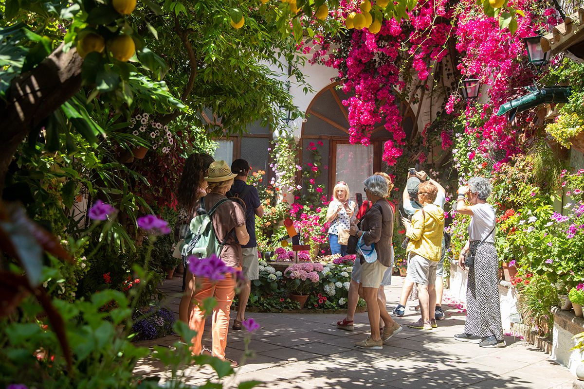 Patio, La Palma 3