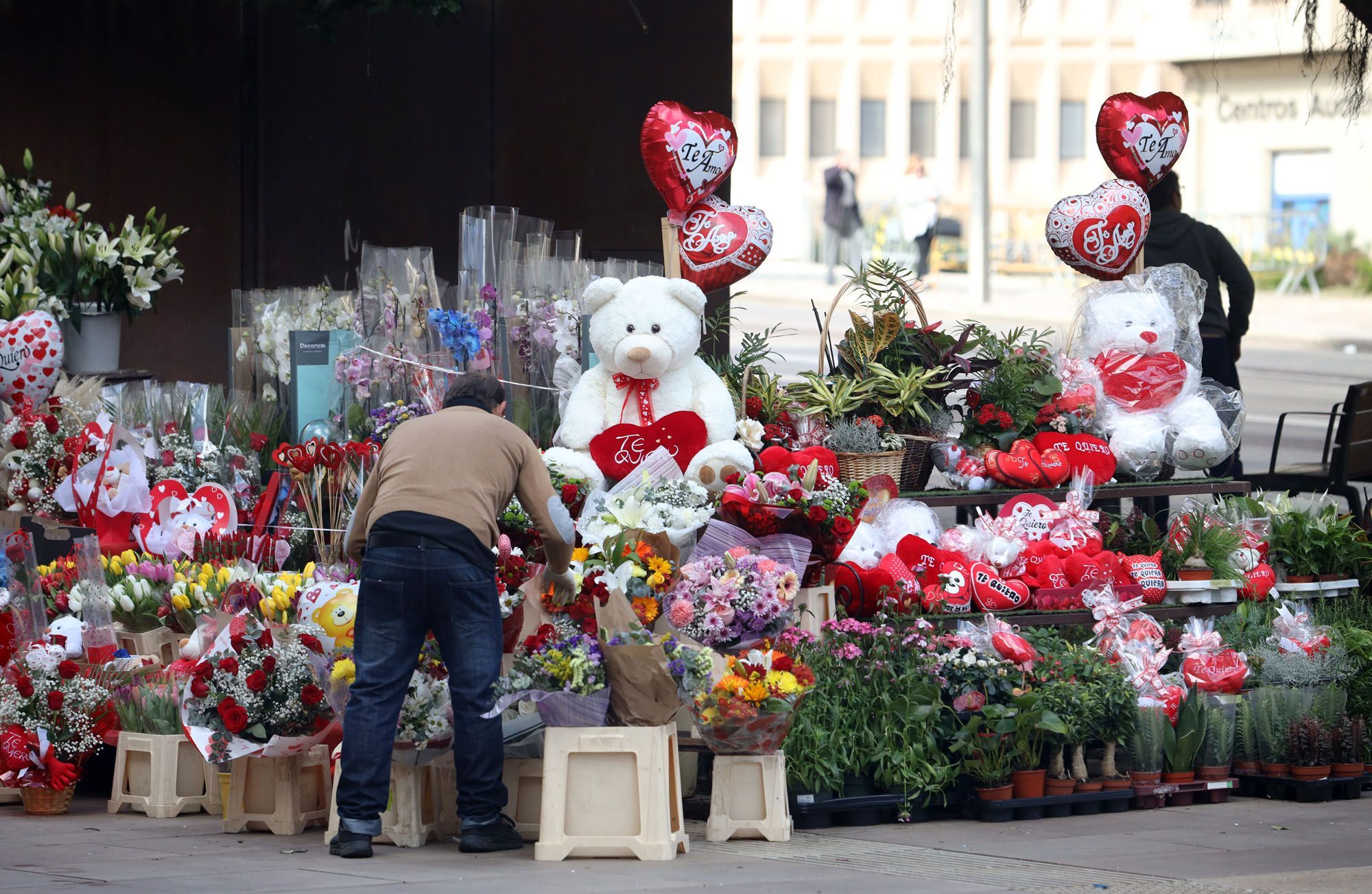 Floristerías de Málaga se preparan para San Valentín - La Opinión de Málaga