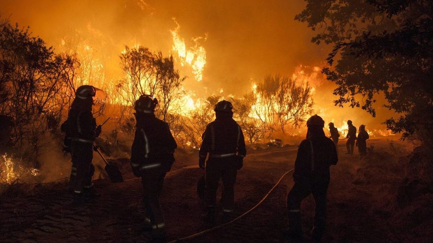 ¿Ayudan los incendios forestales a fertilizar el océano y potenciar el fitoplancton?