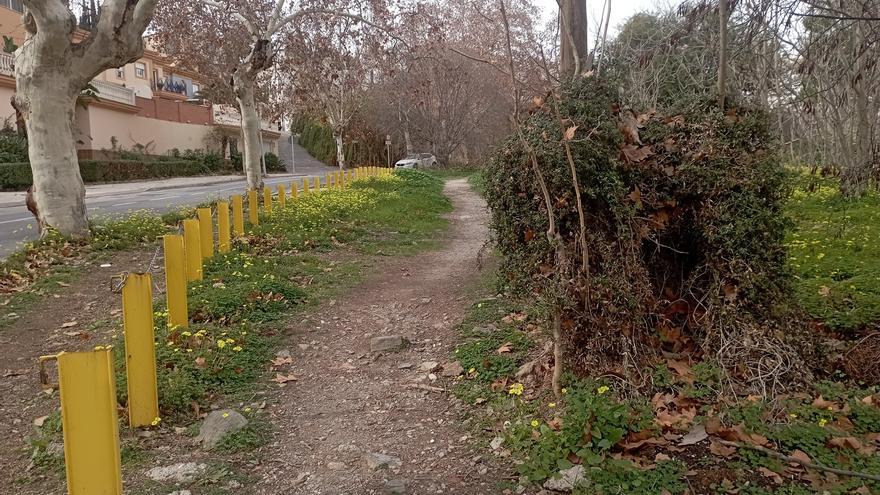 Una trocha galaica en mitad del Camino Nuevo