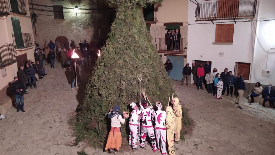 Las imágenes de la fiesta más rara de Sant Antoni en la Todolella, en octubre