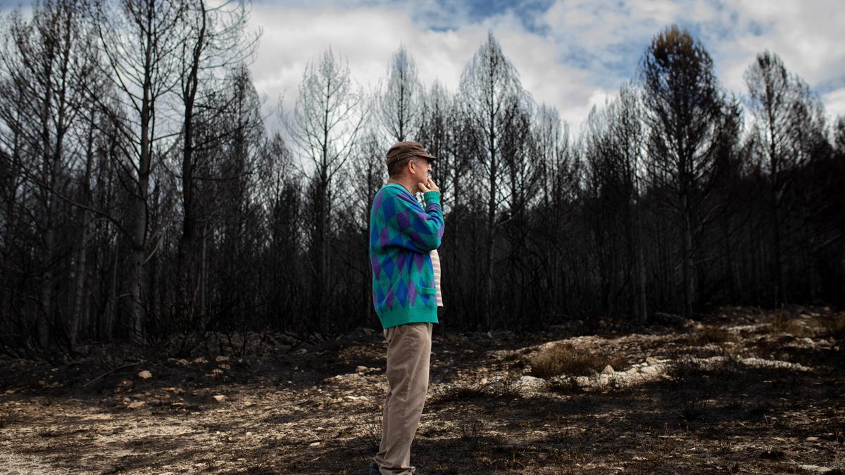 Incendio en Sierra de la Culebra. Un hombre observa el desolador paisaje en Boya.