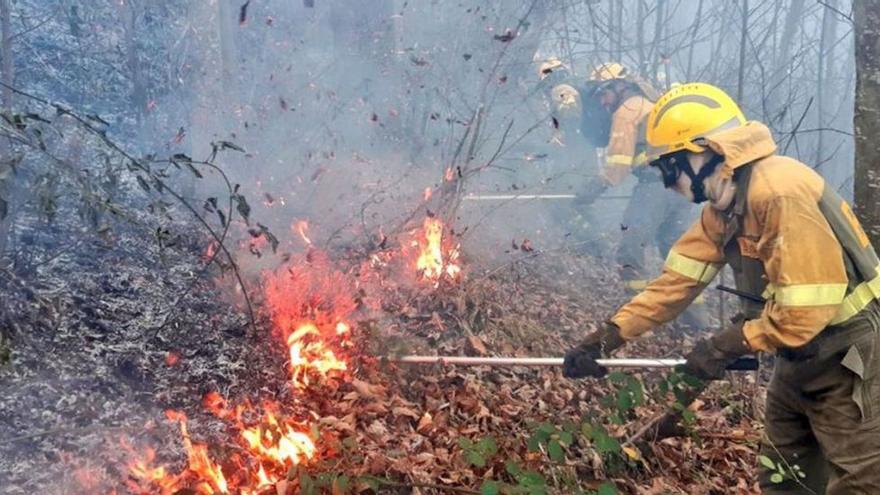 Los bomberos forestales de la Brif de Tineo apagan un fuego en Piñera (Cangas del Narcea). ATBRIF