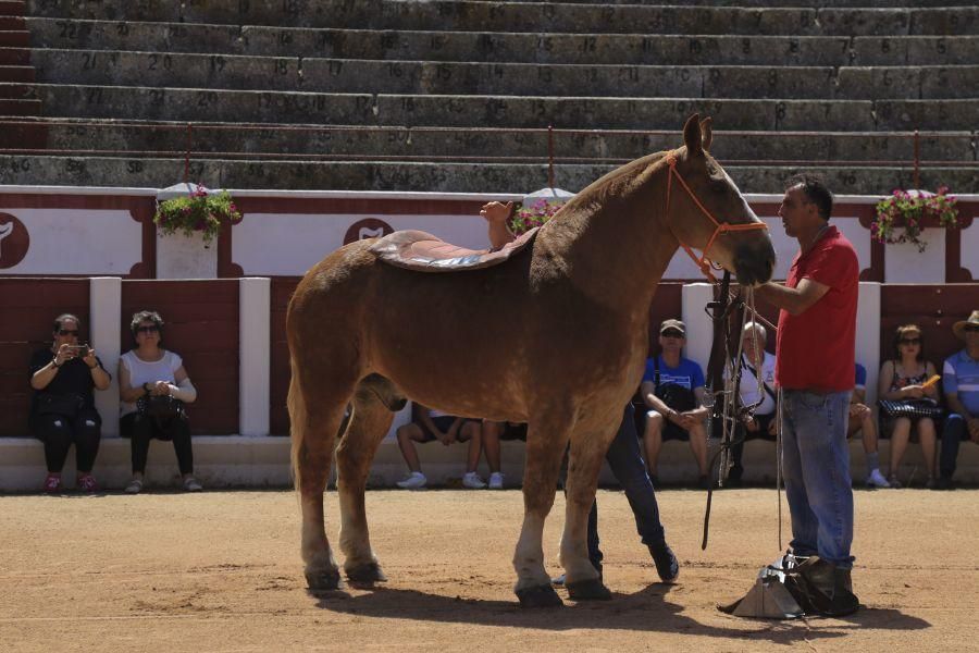 Demostración caballos de picar.