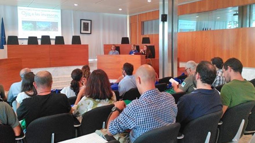 Un momento de la jornada celebrada en el Consell.