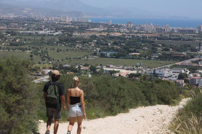 Vista de la huerta de Alicante