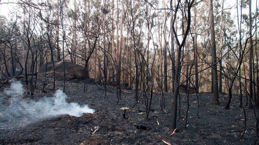 Imagen del monte de Chandebrito quemado // Salvador Sas