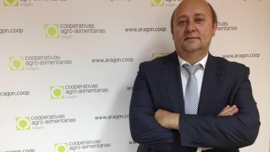 Las cooperativas urgen mayor reconocimiento en la PAC y abandonar localismos